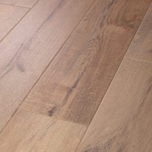 Sand Dollar Oak